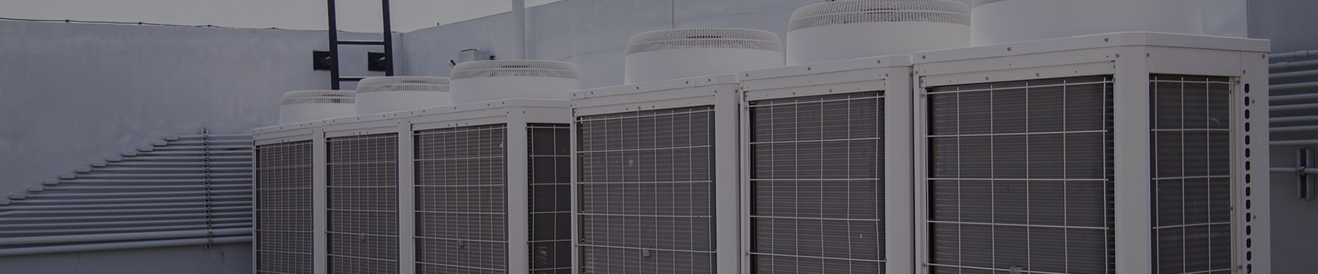 Cixi Chenfeng Electric Co., Ltd.